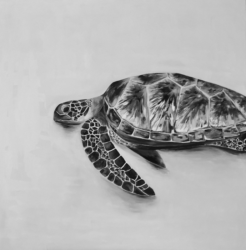 Tortuga 1